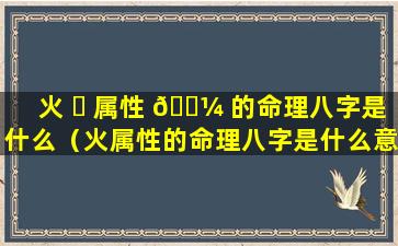 火 ☘ 属性 🐼 的命理八字是什么（火属性的命理八字是什么意思）